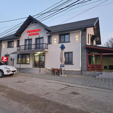 Pensiunea Antonia Sighetu Marmaţiei Exterior foto
