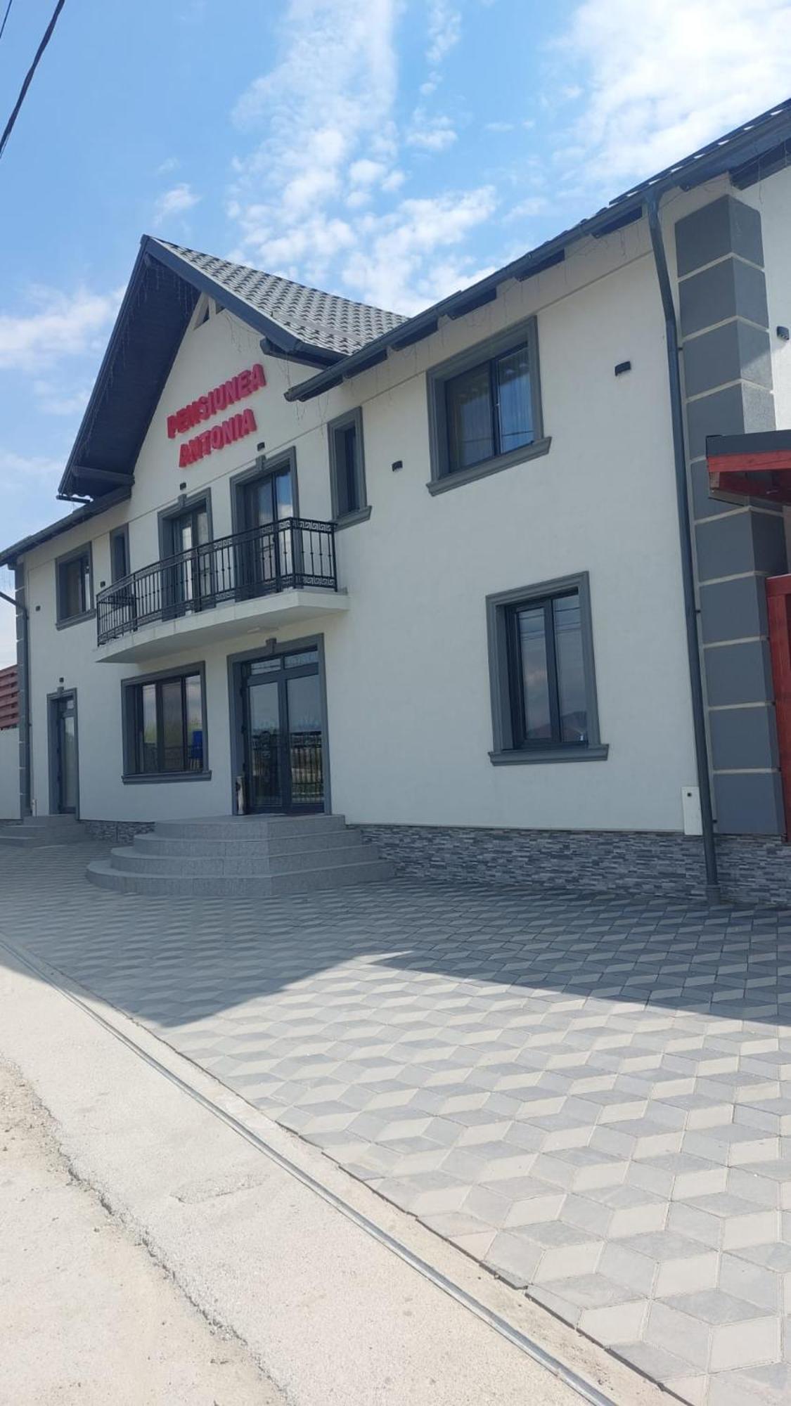 Pensiunea Antonia Sighetu Marmaţiei Exterior foto