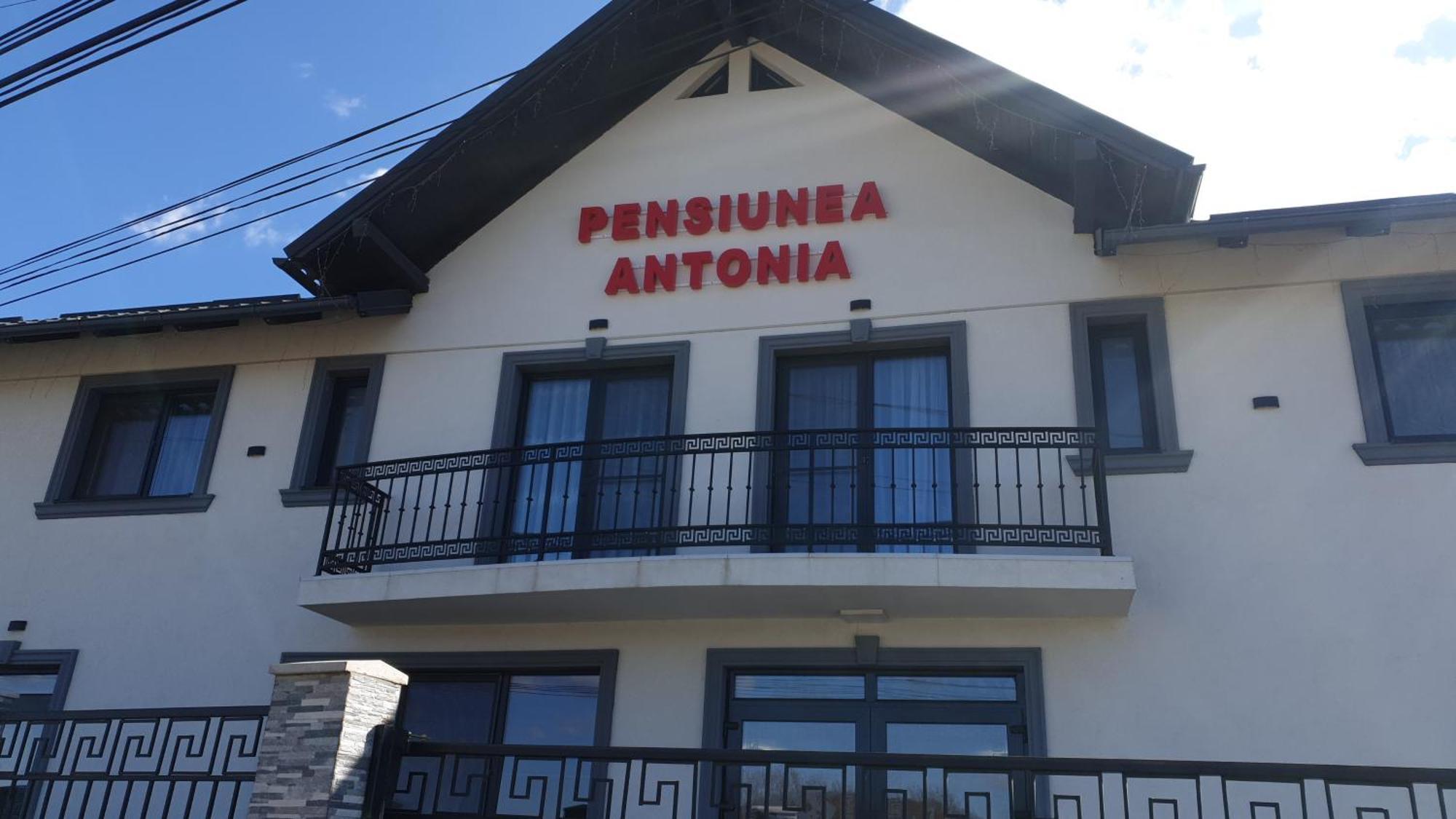 Pensiunea Antonia Sighetu Marmaţiei Exterior foto