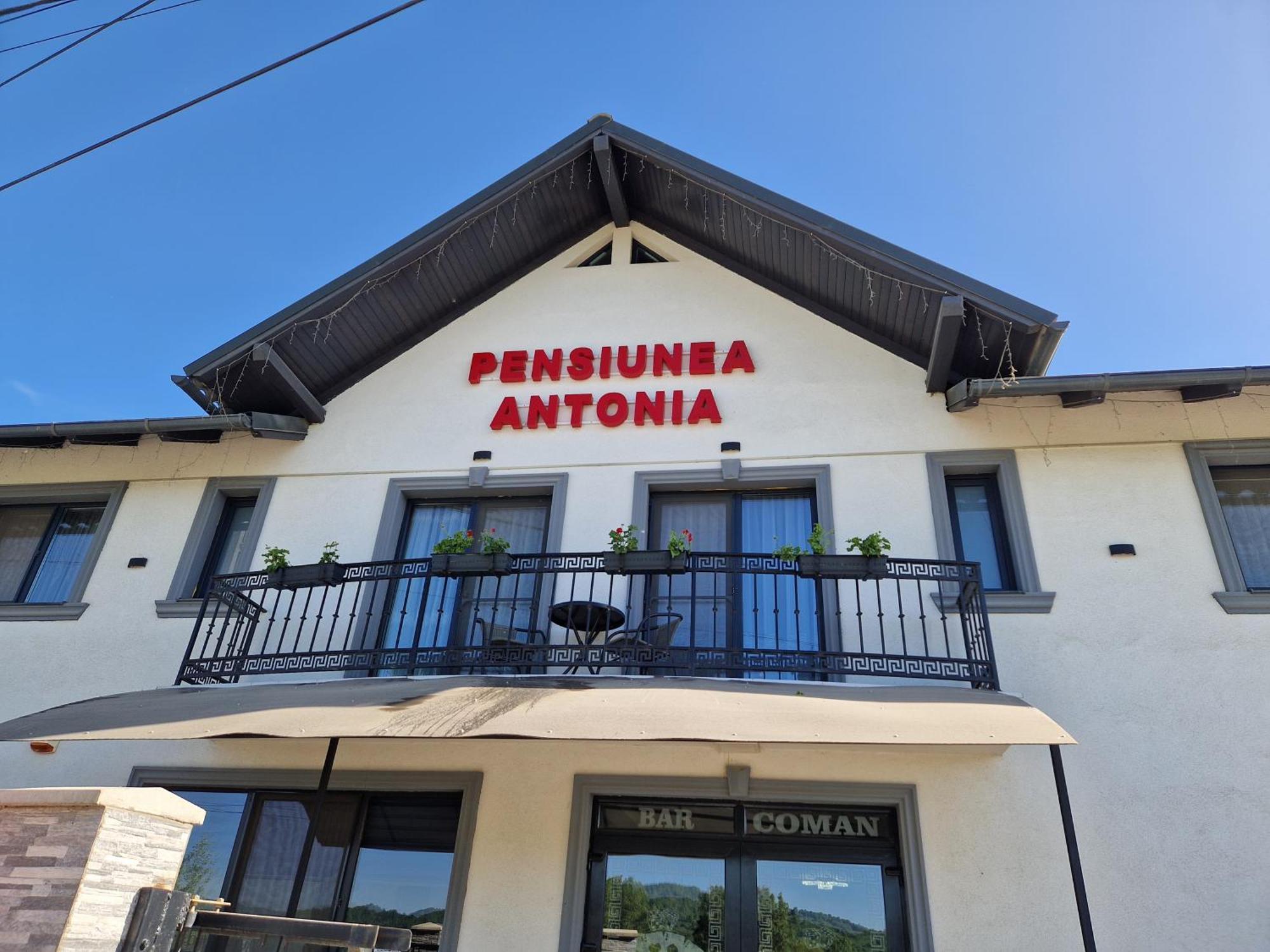 Pensiunea Antonia Sighetu Marmaţiei Cameră foto